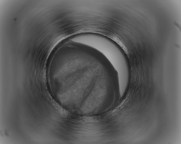 X0000091010976200708301353