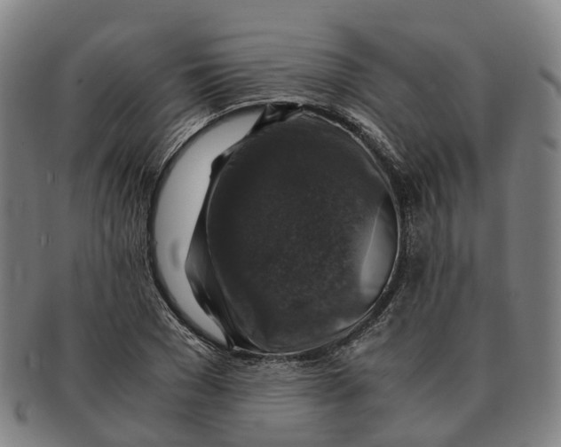 X0000091010977200708301353