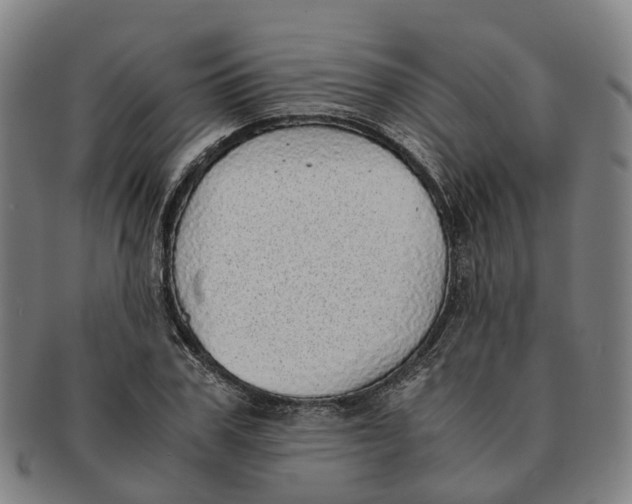 X0000091010979200708301353