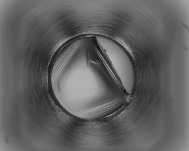 X0000091010980200708301353