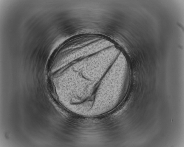 X0000091010981200708301353