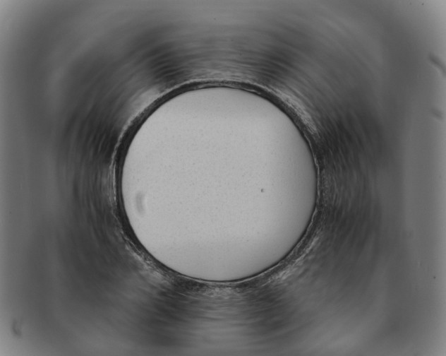 X0000091010982200708301353