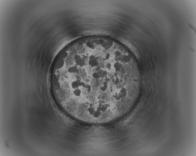 X0000091010983200708301353