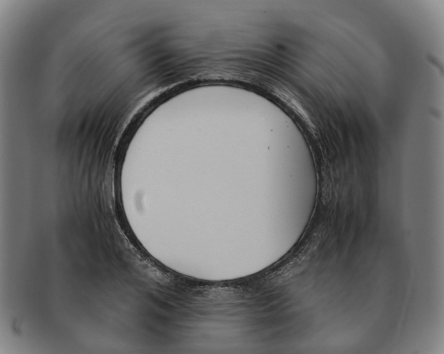 X0000091010984200708301353