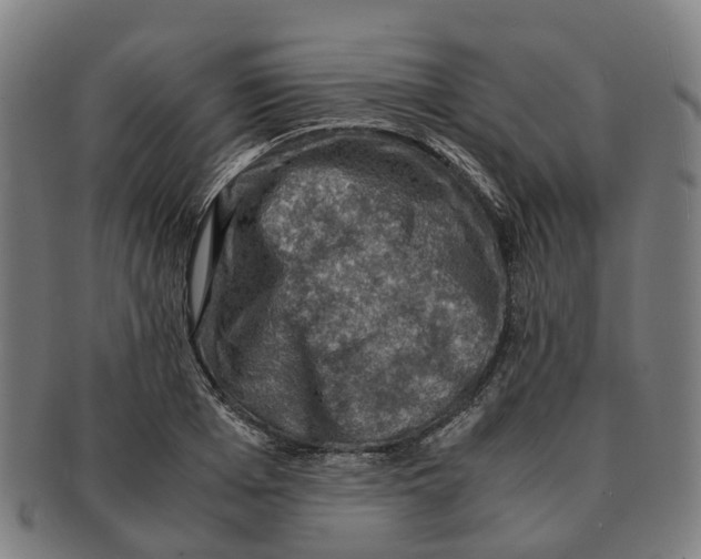 X0000091010985200708301353