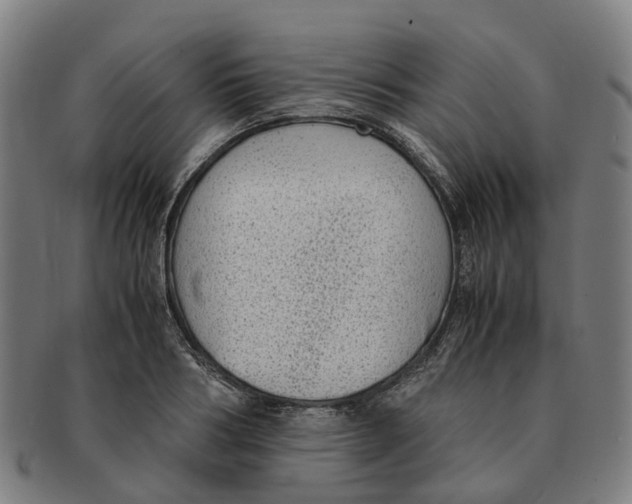 X0000091010986200708301353