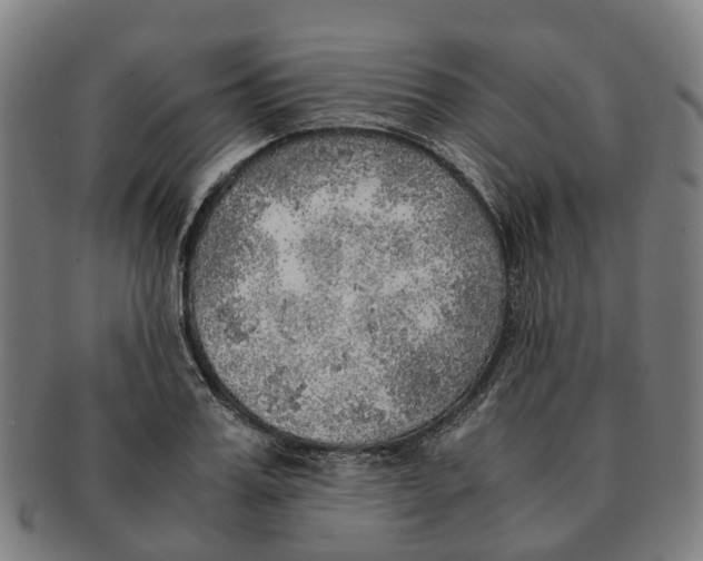 X0000091010987200708301353