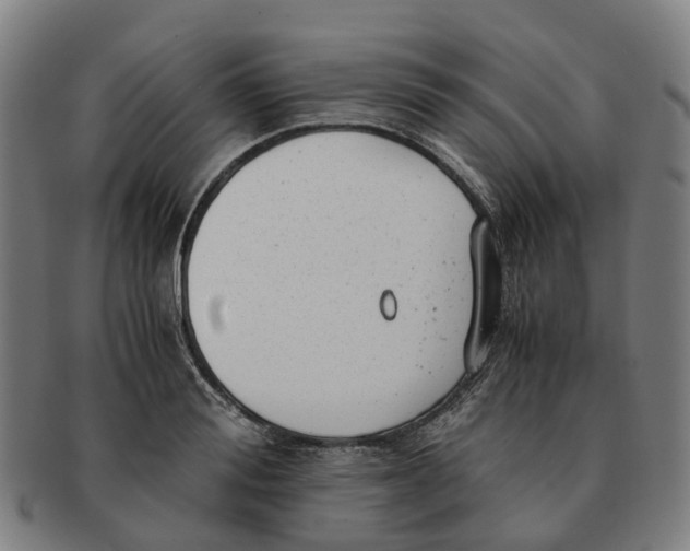 X0000091010988200708301353