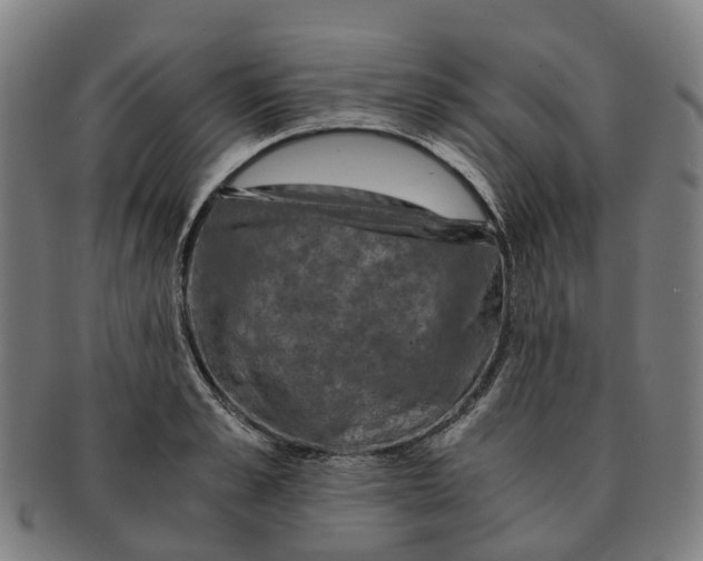 X0000091010989200708301353