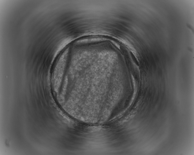 X0000091010990200708301353