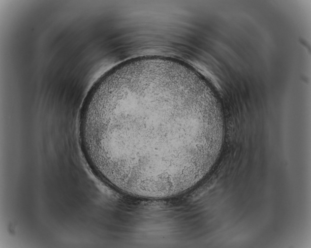 X0000091010991200708301353