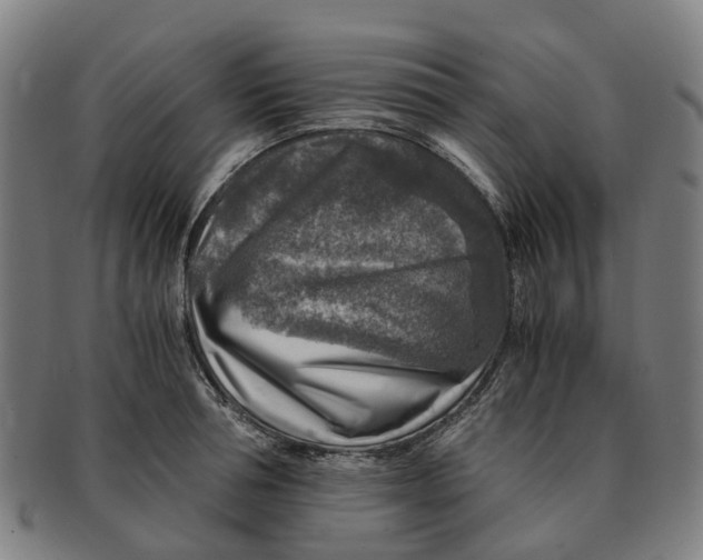 X0000091010994200708301353