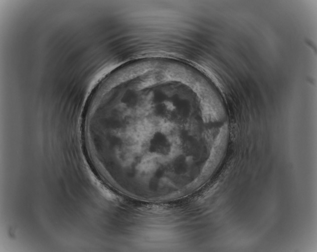 X0000091010995200708301353