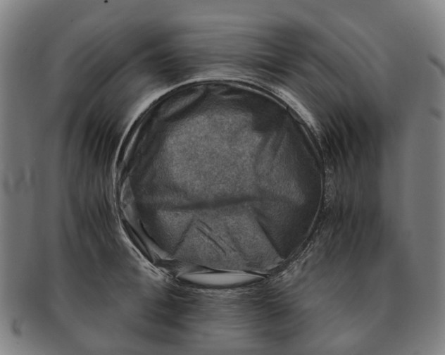 X0000091010996200708301353