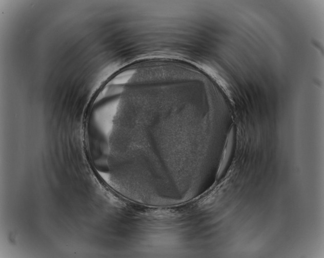 X0000091010998200708301353