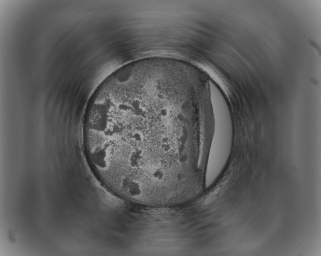 X0000091010999200708301353