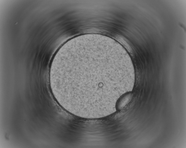 X0000091011000200708301353