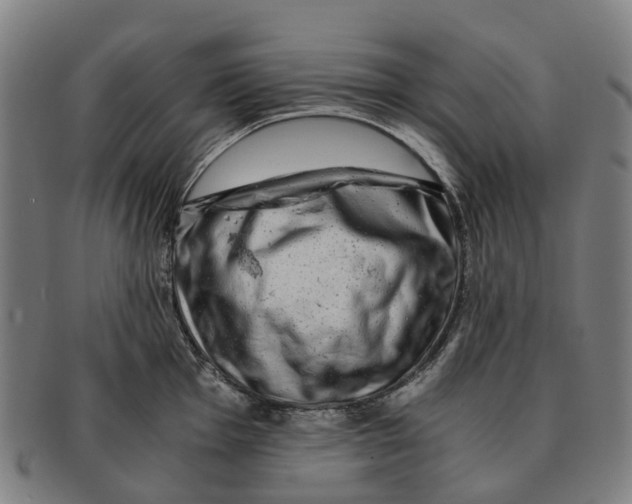 X0000091011001200708301353