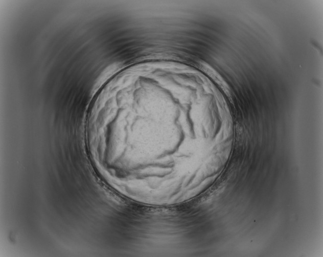 X0000091011002200708301353