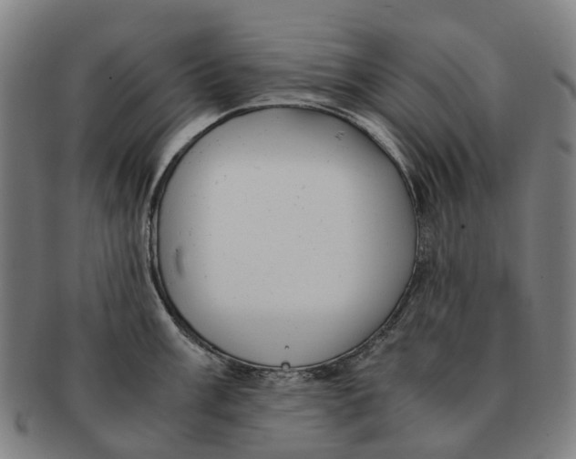 X0000091011003200708301353