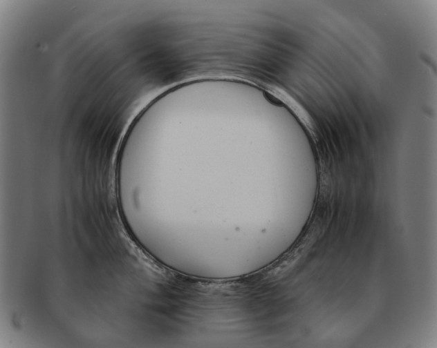 X0000091011004200708301353