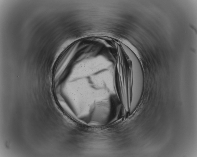 X0000091011005200708301353