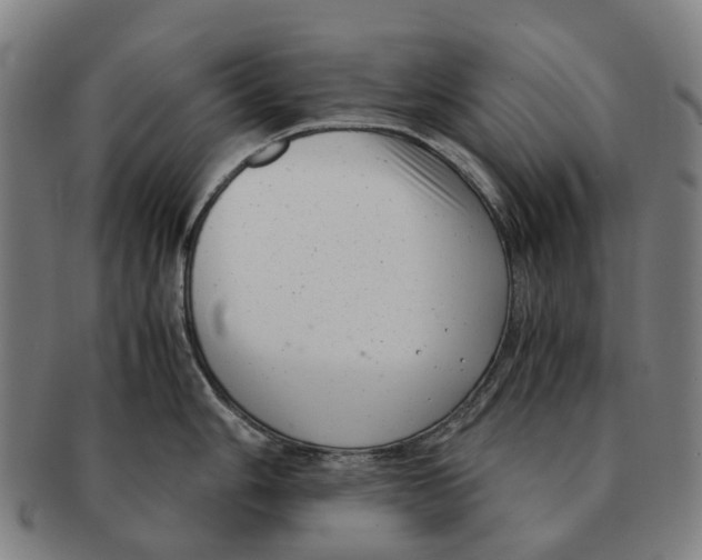 X0000091011006200708301353