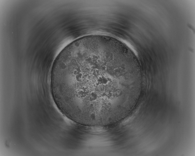 X0000091011007200708301353