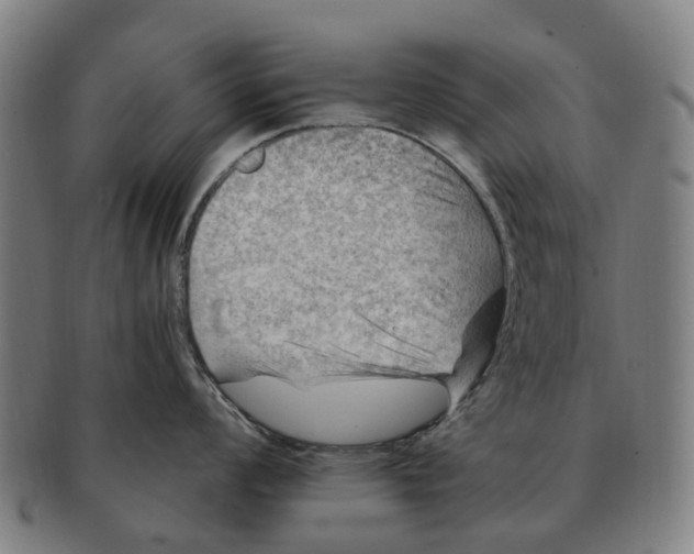 X0000091011008200708301353