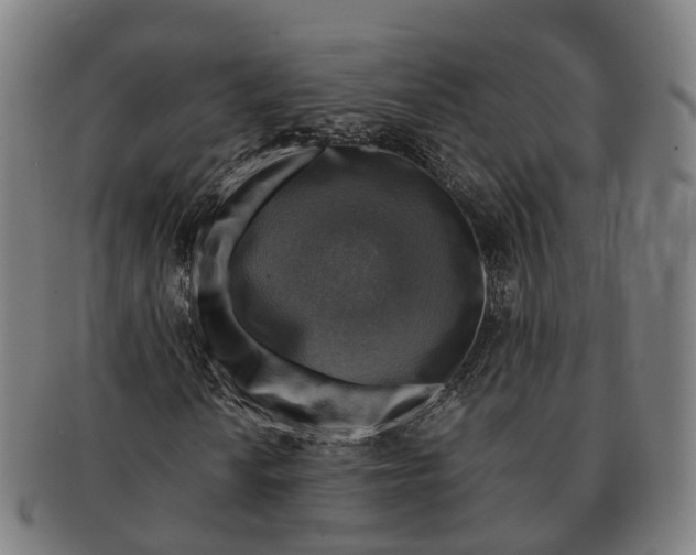 X0000091011010200708301352