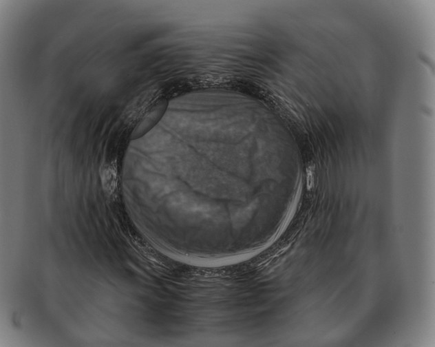 X0000091011011200708301352