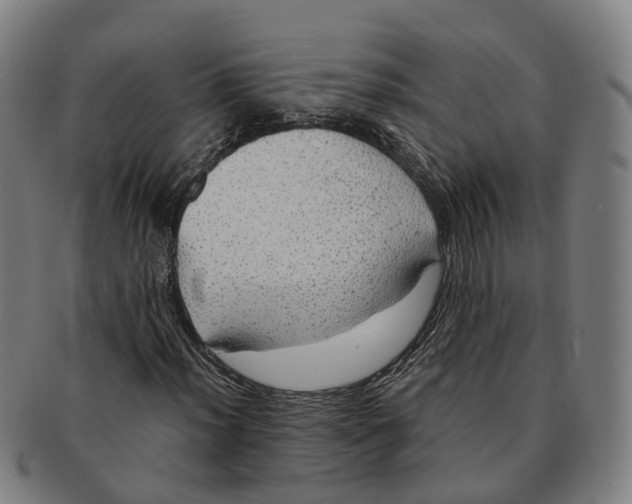 X0000091011012200708301352