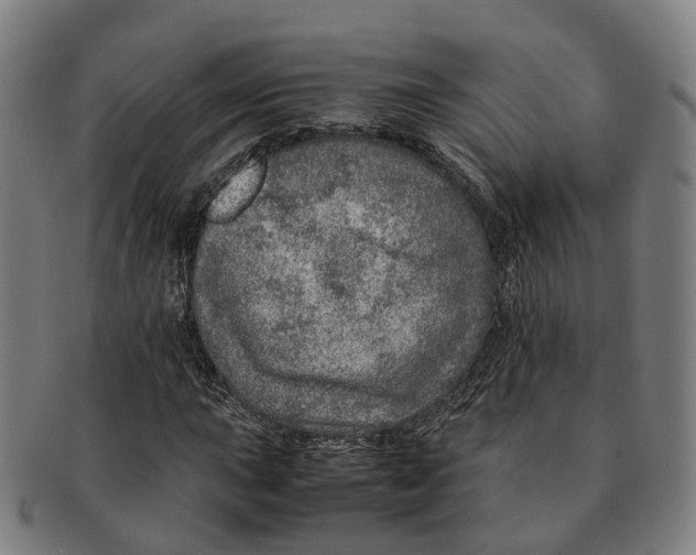 X0000091011015200708301352