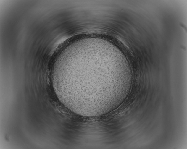 X0000091011016200708301352