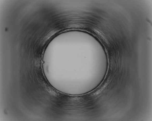 X0000091011017200708301352