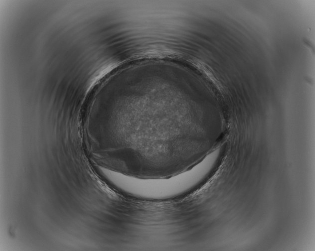 X0000091011018200708301352