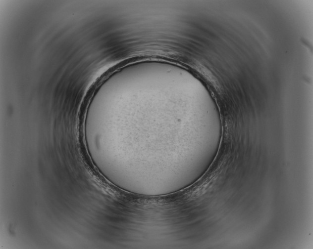 X0000091011020200708301352