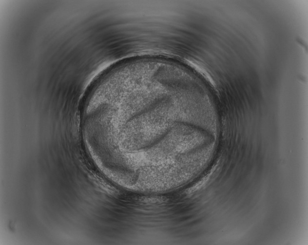 X0000091011021200708301352