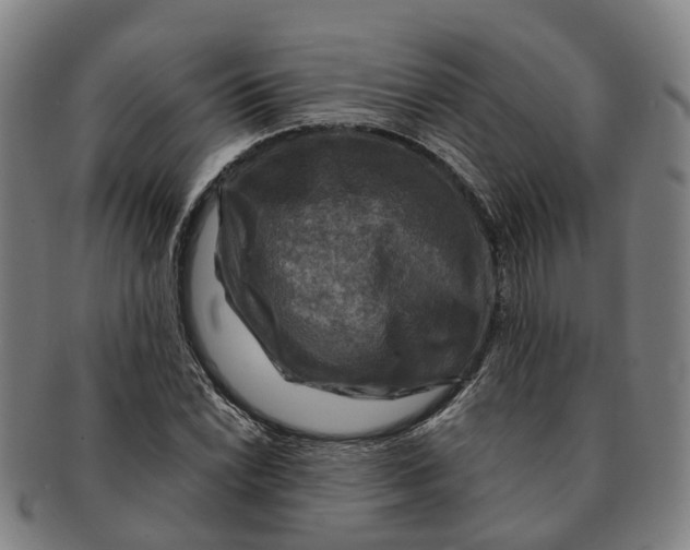 X0000091011022200708301352