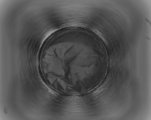 X0000091011024200708301352