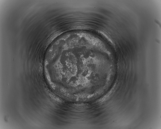 X0000091011025200708301352