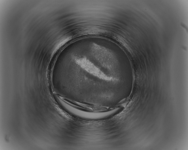 X0000091011026200708301352