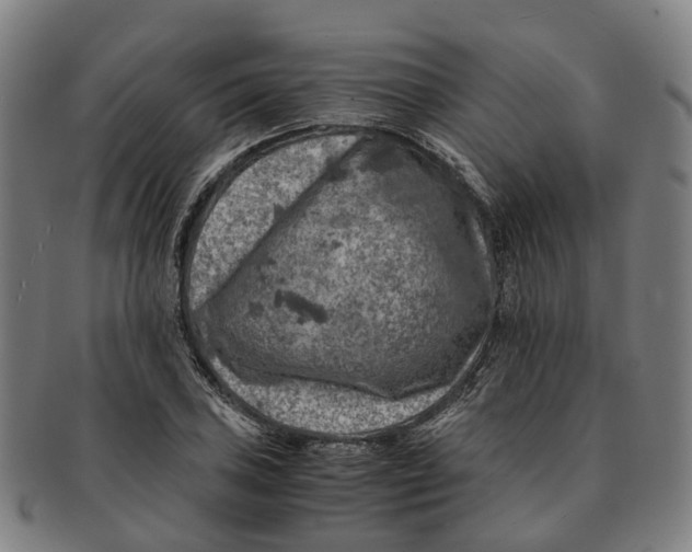 X0000091011027200708301352