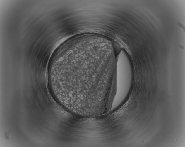 X0000091011028200708301352