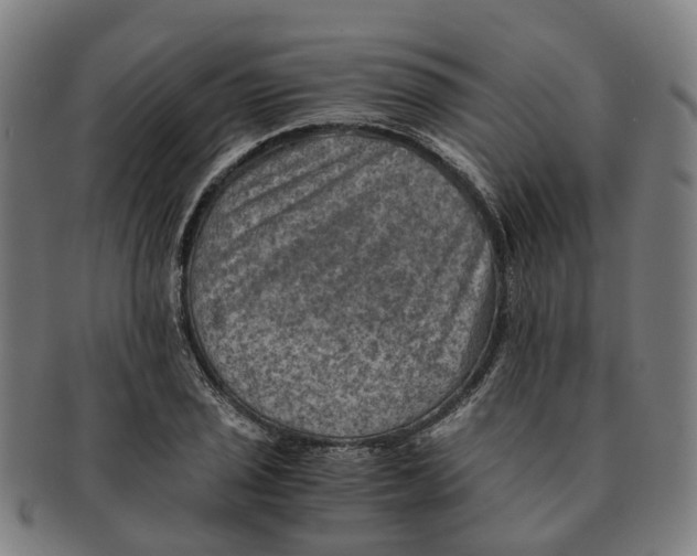 X0000091011029200708301352