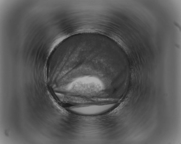 X0000091011030200708301353