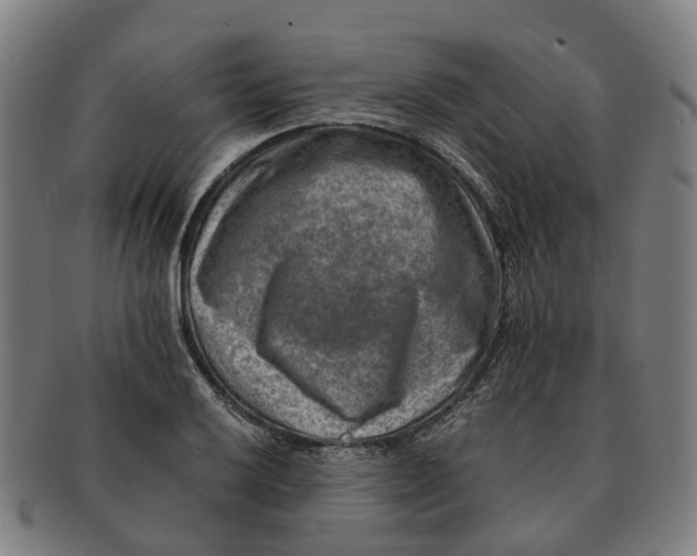 X0000091011032200708301353