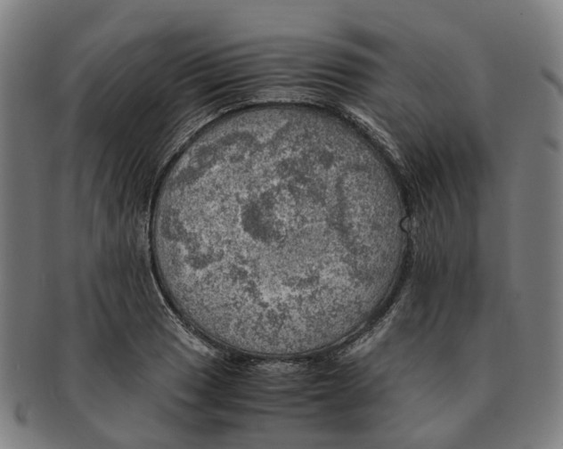 X0000091011033200708301353