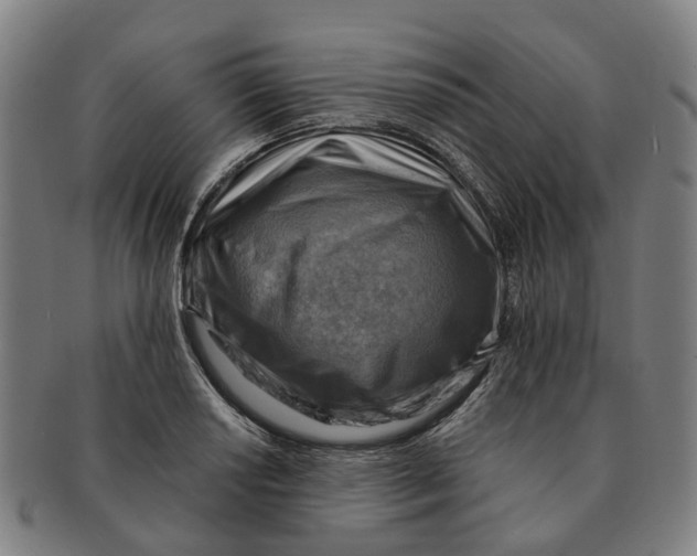 X0000091011034200708301353