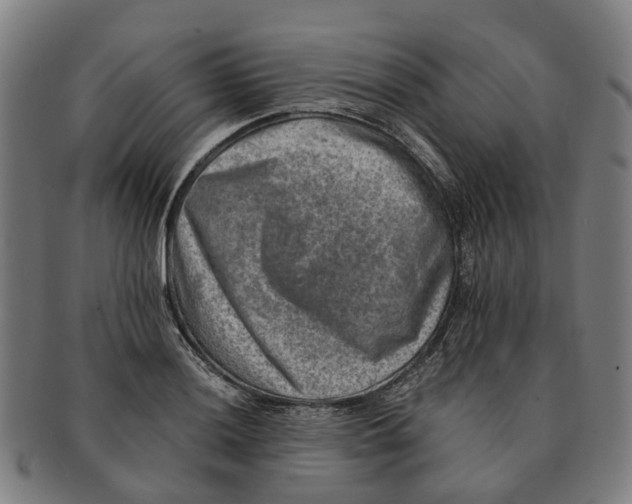 X0000091011036200708301353